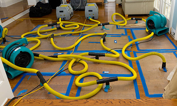 Professional Basement Flood Cleanup technician working in Gunpowder, MD